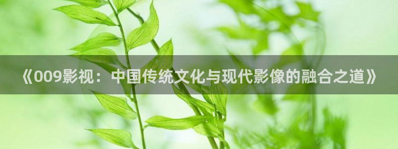精东影业年轻的朋友2：《009影视：中国传统文化与现代影像的融合之道》